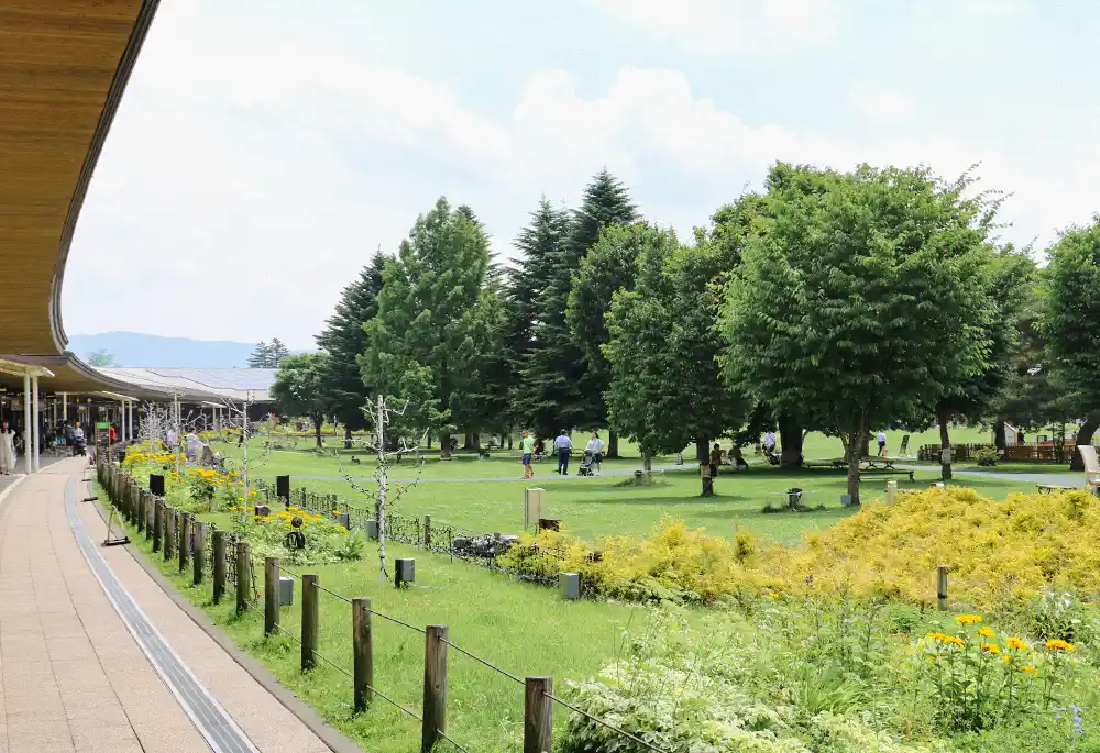 メインビジュアル